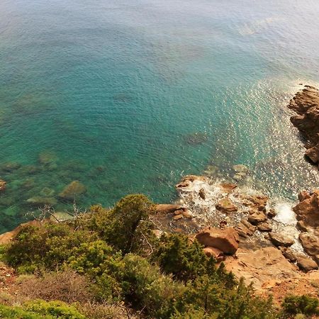 Accademia Apartment Livorno Dış mekan fotoğraf